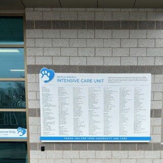 Mspca angell wall donor plaque