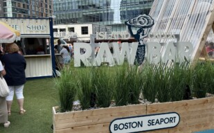 010 island creek oysters raw bar boston seaport signs zebra visuals