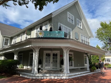 Daisies building sign zebra visuals plymouth mass