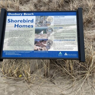 Shorebird Homes Duxbury Beach Signage