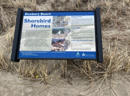 Shorebird Homes Duxbury Beach Signage