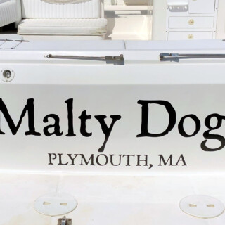 Malty Dog