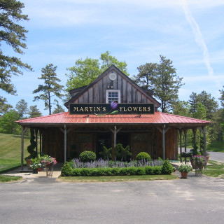 Martins Flowers Pinehills
