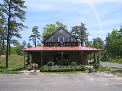 Martins Flowers Pinehills
