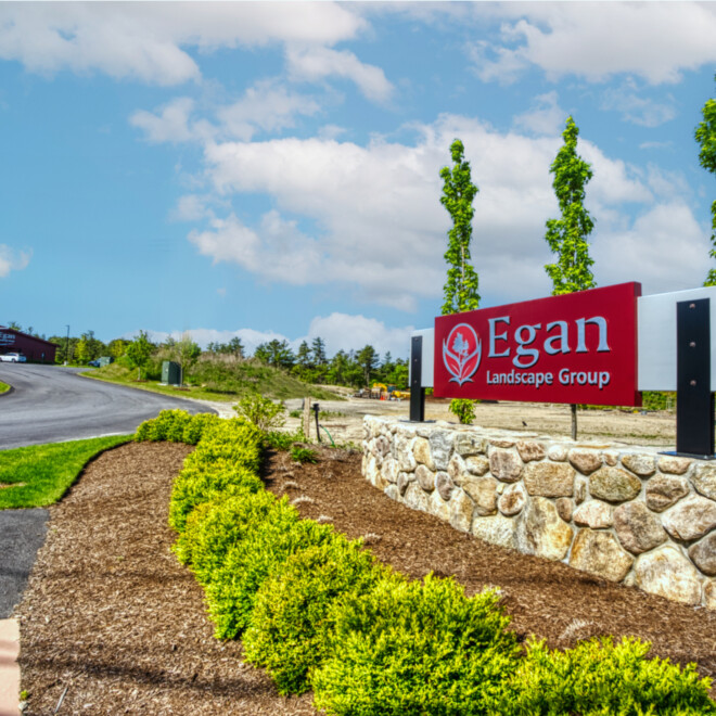 Zebra Visuals Exterior Gallery