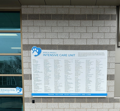 Mspca angell wall donor plaque