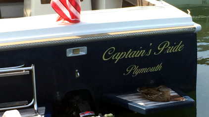 Captains Pride