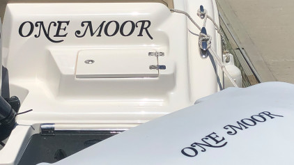 One Moor